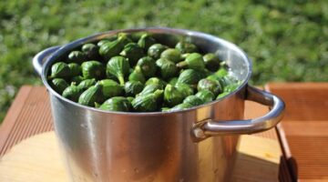 Kulinářská cesta po Francii