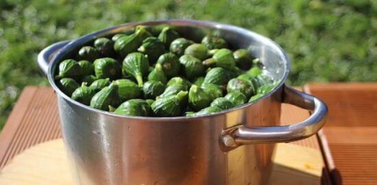 Kulinářská cesta po Francii