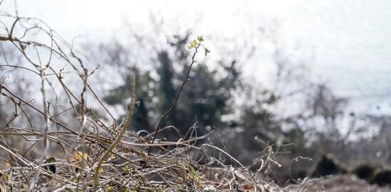 Jak si užít Švýcarsko bez zbytečných výdajů