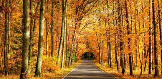 Polsko: Informative návody pro turisty