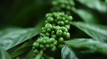 Kulturní výlet do Francie