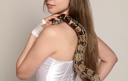 Zaklínači v České republice