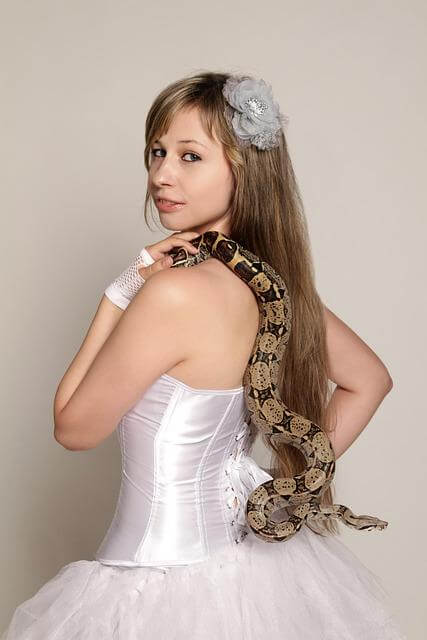 Zaklínači v České republice