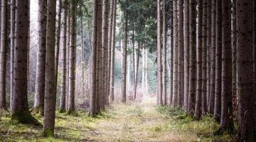 Procházka po Itálii: Co byste neměli minout?