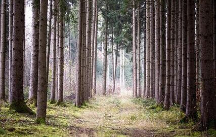 Procházka po Itálii: Co byste neměli minout?