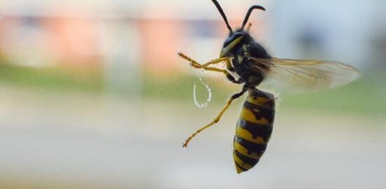 Jak se dostat do Maďarska: Informative guide