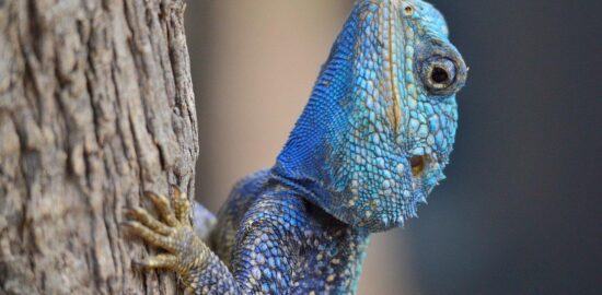 Jedinečná kultura Itálie