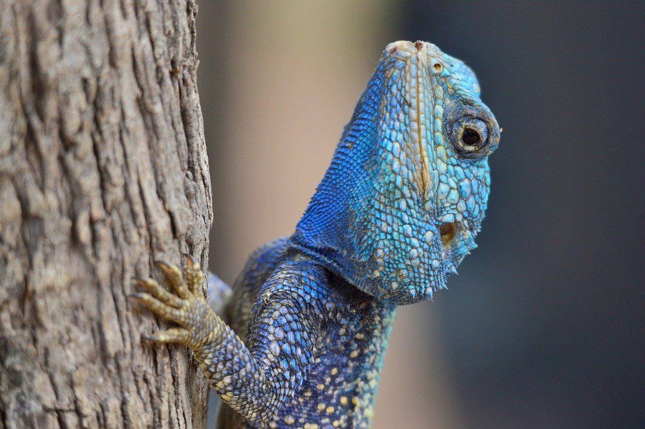 Jedinečná kultura Itálie