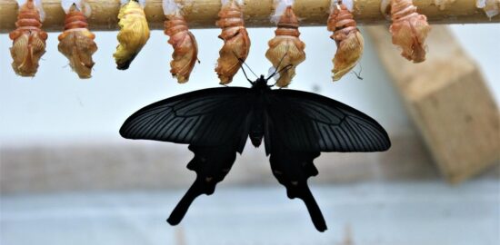 Jak objevit ty nejlepší pláže v Chorvatsku