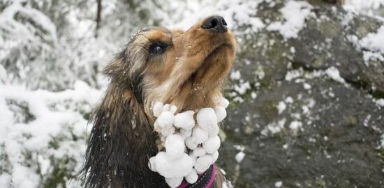 Cestopis – Chorvatsko