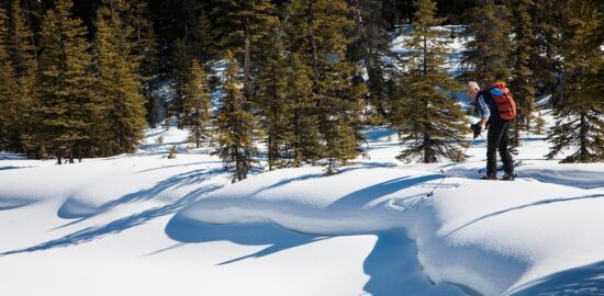 Prozkoumejte kulinářské lahůdky Itálie