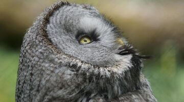 Fascinující destinace: Španělsko