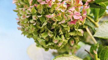 Jak strávit dokonalou dovolenou v Chorvatsku