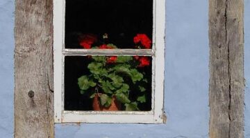 Kulturní bohatství Francie: země lásky, vína a umění