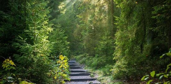 Cesta do Švýcarska: Informace a tipy