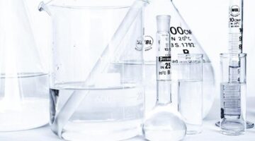 Výzkum: Historie a kultura Francie