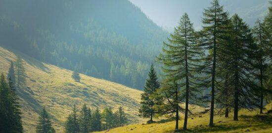 Jak prozkoumat Maďarsko: informace a tipy