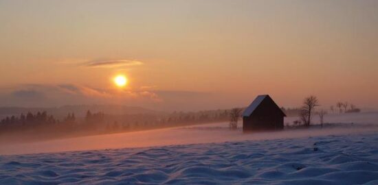 Francký sýr: Království chutí a tradic