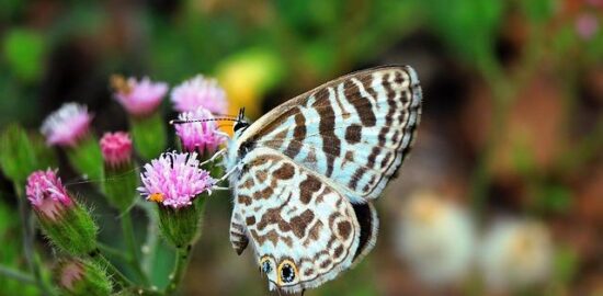 Najlepšie destinácie v Chorvátsku