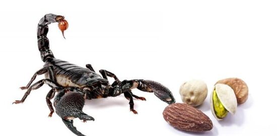 Jak objevit nejlepší pláže Chorvatska