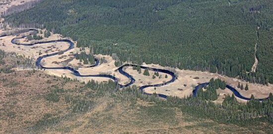 Meandry polské historie