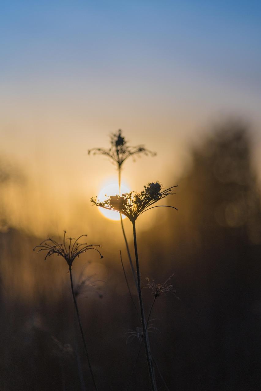 Poležel zemřít cestovat do Polska – Informative