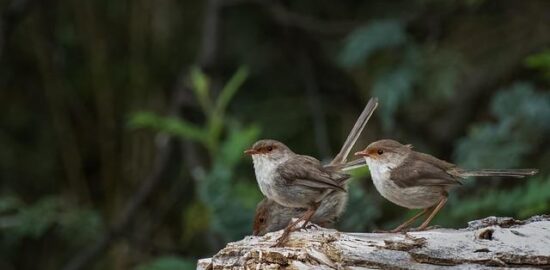 Skvělé tipy pro cestování do Polska